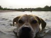 IMGP0493.JPG