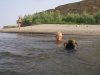 IMGP0494.JPG