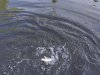 DSC06297.JPG