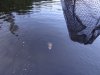 DSC06302.JPG