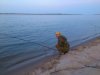 DSC_0152.JPG