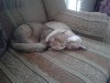 20131214_153735.jpg