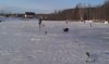 IMAG0177.jpg