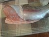 20140219_203906.jpg