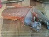 20140219_204658.jpg