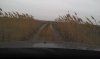 IMAG0243.jpg