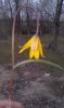 IMAG0244.jpg