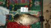 DSC03457.JPG