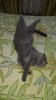 20140626_193655.jpg