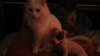 20140627_171749.jpg