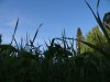 DSC07144.JPG
