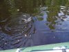 DSC07149.JPG