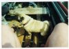 Вася 022.jpg