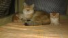 20141005_214603.jpg