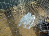DSCN5258.JPG