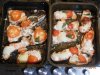DSCN5268.JPG