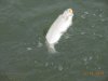 DSCN5294.JPG
