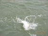 DSCN5295.JPG