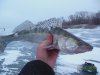 DSCN5391.JPG