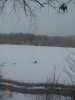 DSCN5469.JPG