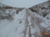 DSCN5491.JPG