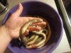20150303_172837.jpg