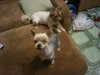 IMG_20150501_195231.JPG