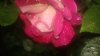 20150620_200125.jpg