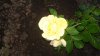 20150621_205441.jpg
