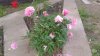 20150621_205616.jpg
