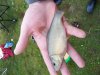 20150621_074127.jpg