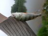20150621_051737.jpg