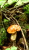 2015-06-28 23.49.32.png