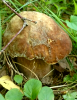 2015-07-07 14.26.55.png