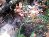 20150905_092026.jpg