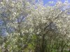 DSC_0189.JPG
