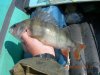DSCN2368.JPG