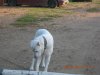 DSCN2799.JPG
