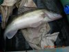 DSCN2803.JPG