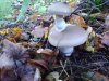 DSC_0255.JPG