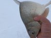 mini_PC020127.JPG