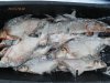 mini_PC020128.JPG