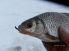 mini_PC090131.JPG