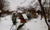 IMG_20161113_124936.jpg