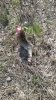 IMG-20170418-WA0003.jpg