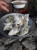 IMG-20170416-WA0021.jpg