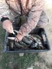 IMG-20170416-WA0025.jpg