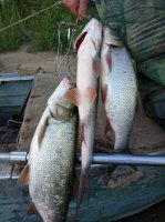 IMG_20170628_183936.jpeg