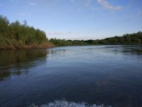IMG_20170626_051652.jpeg