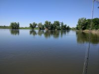IMG_20170627_092518.jpeg